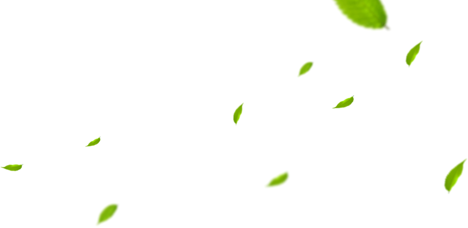 BODUO IS WILLING TO JOIN HANDS