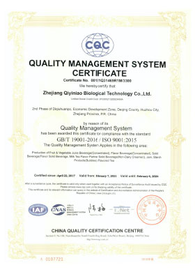 Quality Management System Certificate