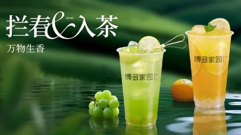 Spring Bestseller Ideas are All in These Tea Bases!