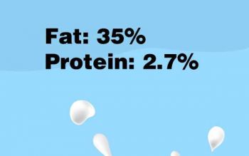 Non-Dairy Creamer KN66