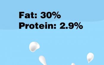 Non-Dairy Creamer 88A