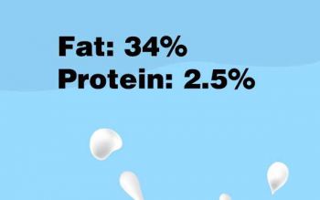 Non-Dairy Creamer T85