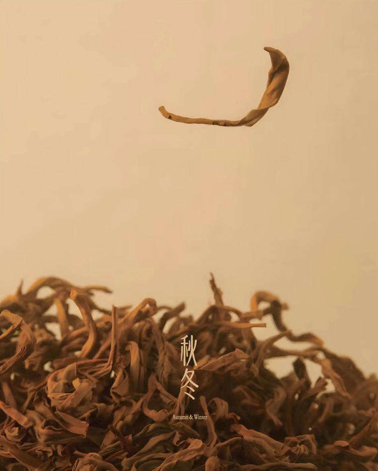 A Gentle Bloom of Warmth, a Whisper of Life from the Clouds