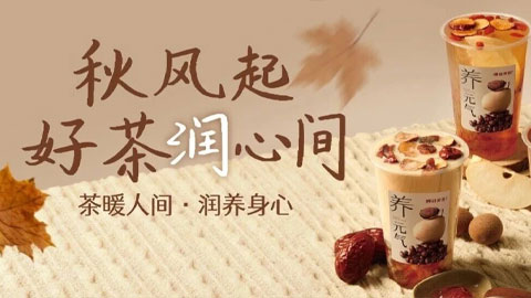 Autumn/Winter 2025 Tea & Wellness Collection: Seasonal Nourishing Beverages